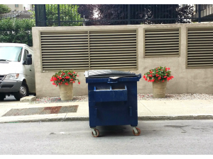 Photos, Pics, Arts & Things...