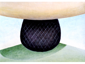 Sombrero and Hair Net 