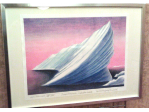 Visit our SHOP for more details