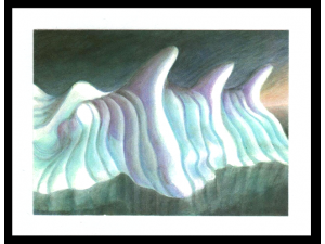 Visit our SHOP for more details 