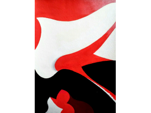 Red Sky, Black lcy Shadows 