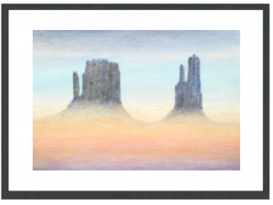 Visit our SHOP for more details