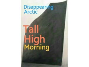 PosterArt/ Tall High Morning 