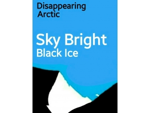 PosterArt/ Sky Bright, Black Ice