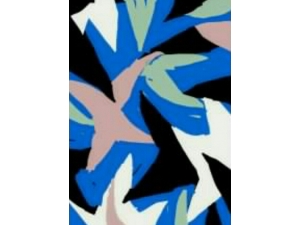 Spring Sprang, Night 