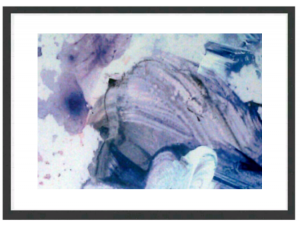 All Framed for Your Size