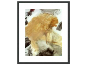 Visit our SHOP for Print & Frame Options 