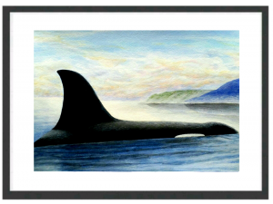 Also... The Majestic Emperor of The Nordic Seas 