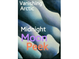 PosterArt l/ Midnight Moon Peek 