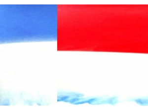 Splitting Image No 21