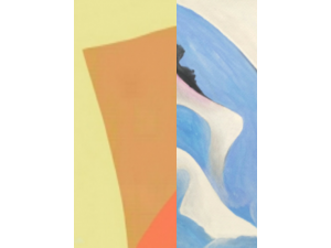 Splitting Image No 17